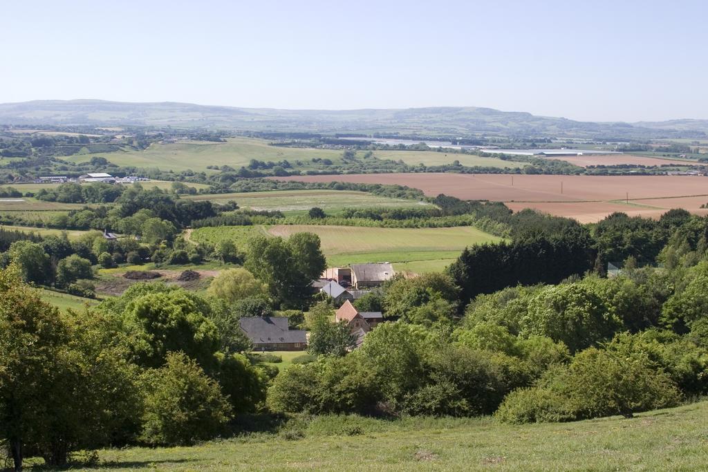 Bauernhof The Garlic Farm Sandown